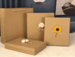 Gift box made from kraft paperboard